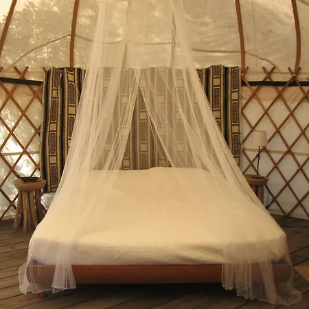Camping Mille Etoiles Labastide-de-Virac Room photo